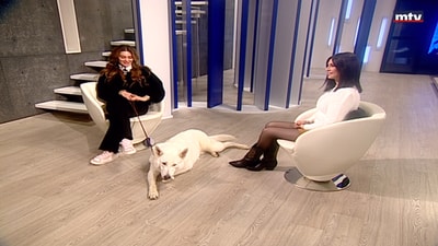 Joy Bawab - White Swiss Shepherd