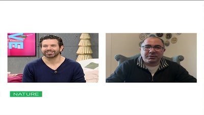 Viewers Questions