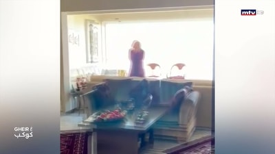 فوكس بوب