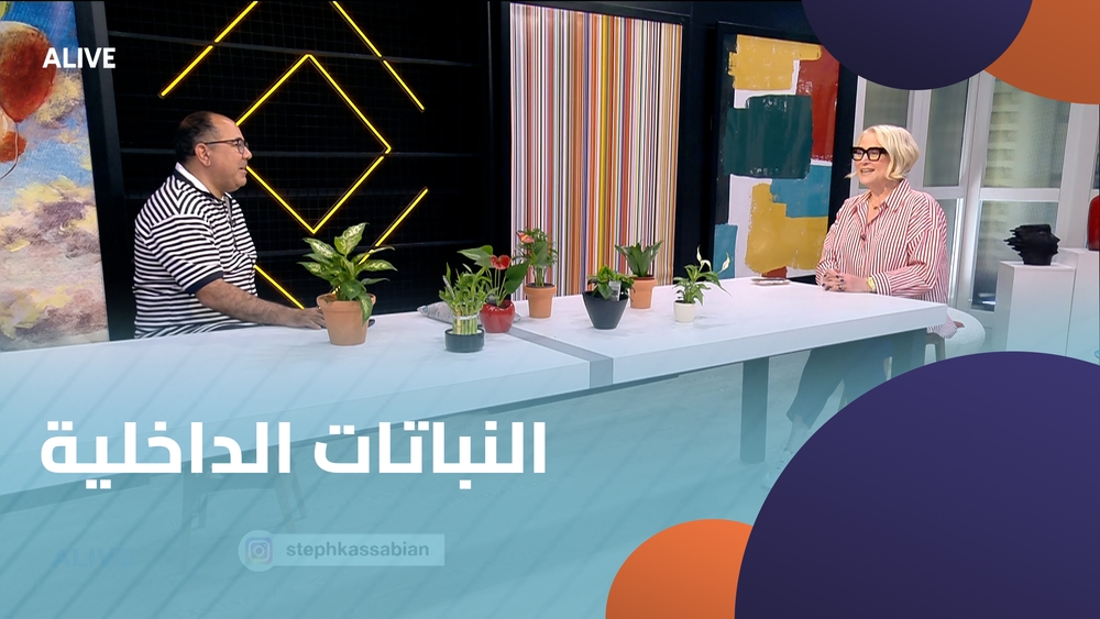 النباتات الداخلية