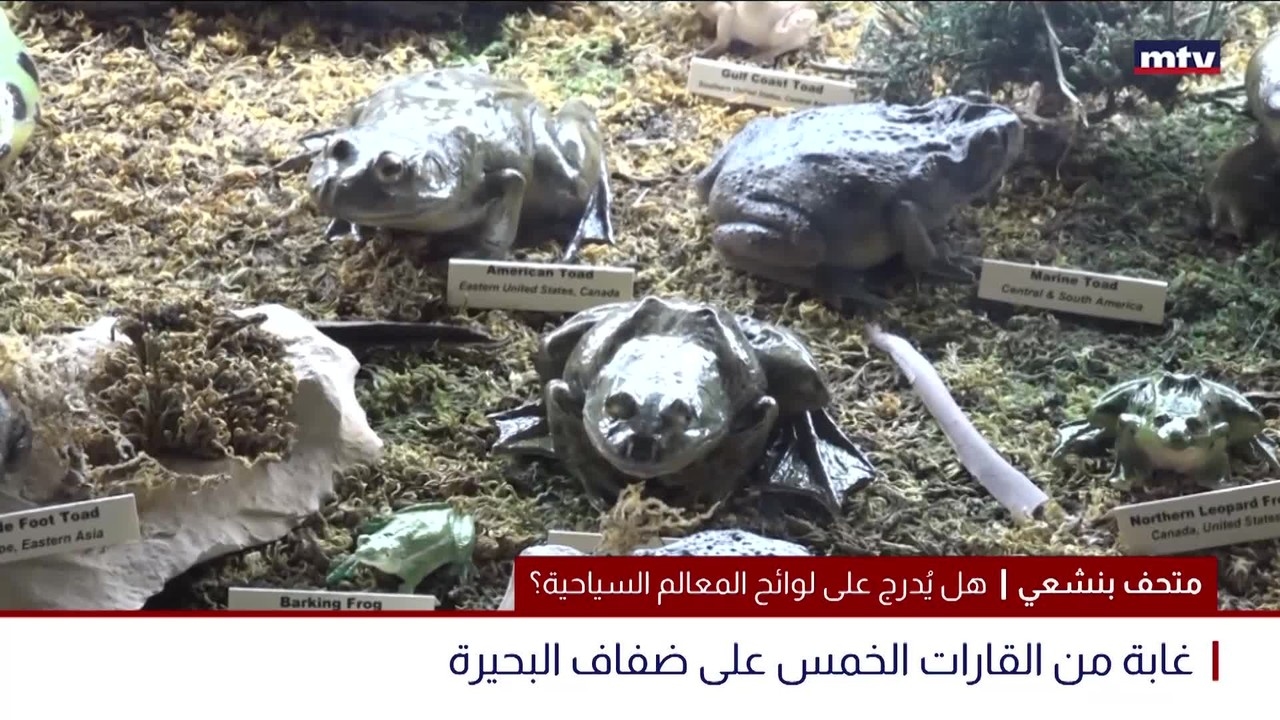 متحف بنشعي
