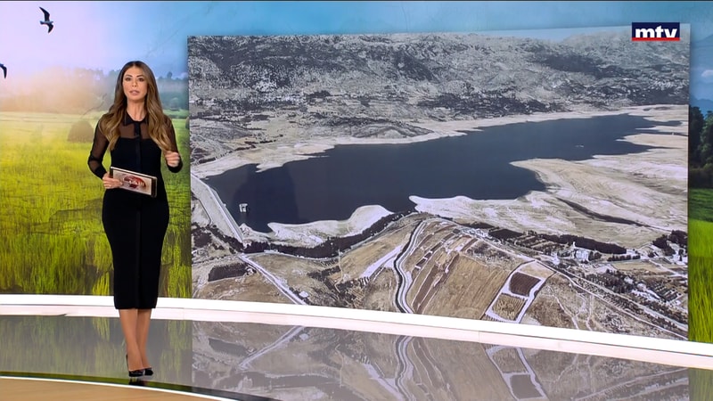 النشرة الكاملة