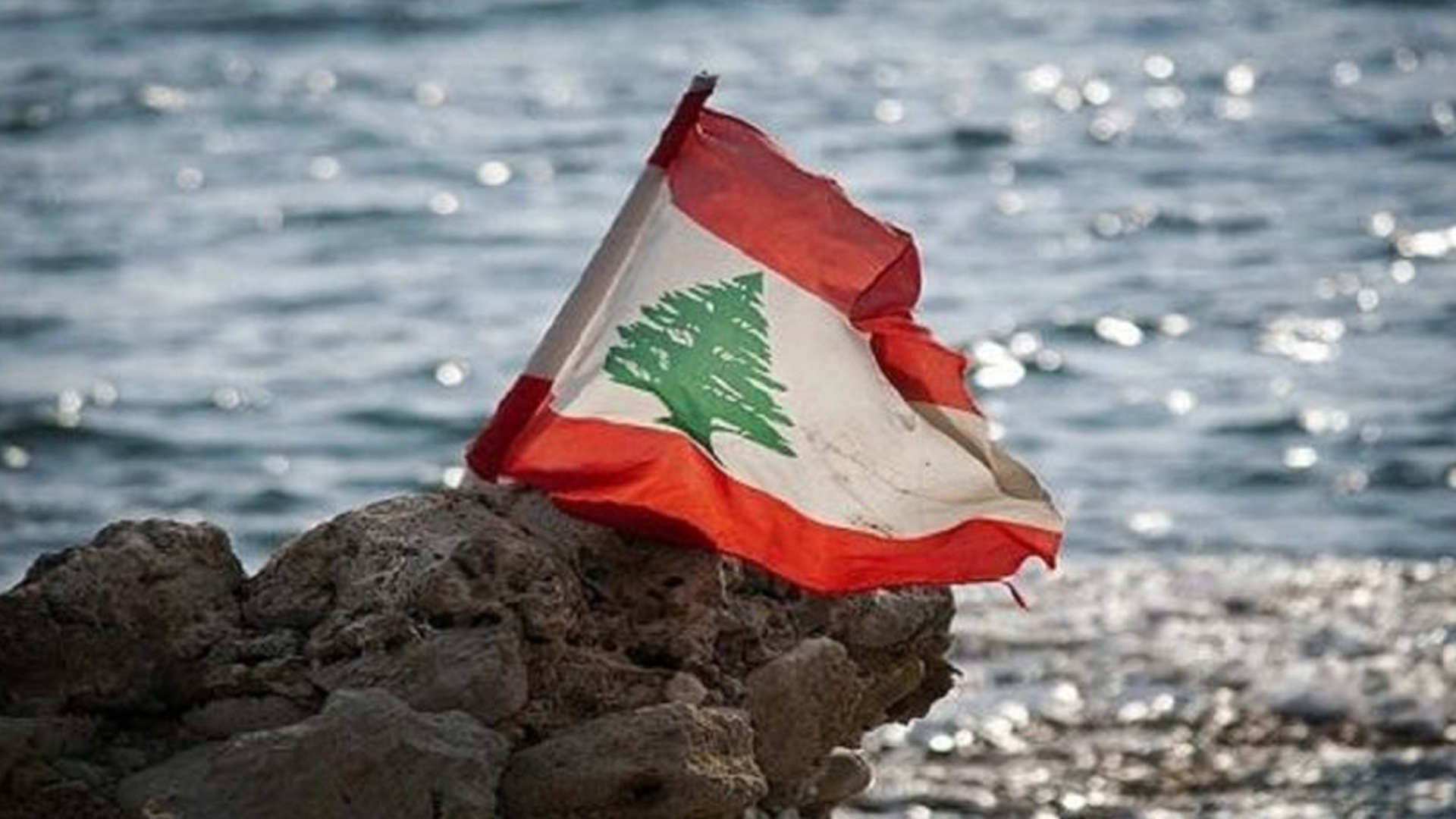 محلي أو مستورد