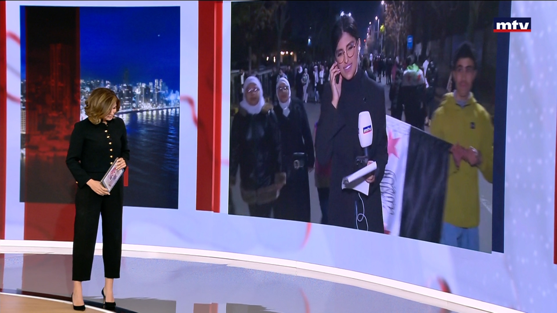 الذكرى الأولى لسقوط الأسد