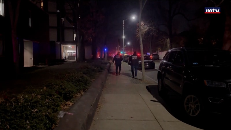 النشرة الكاملة