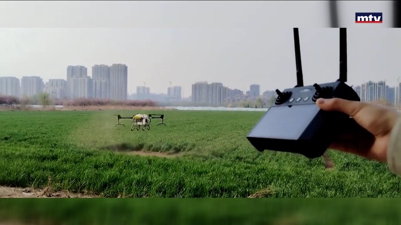 النشرة الكاملة