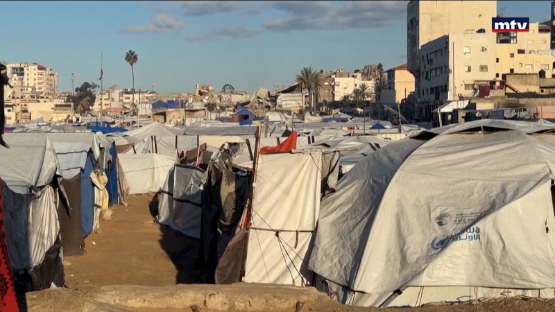 النشرة الكاملة