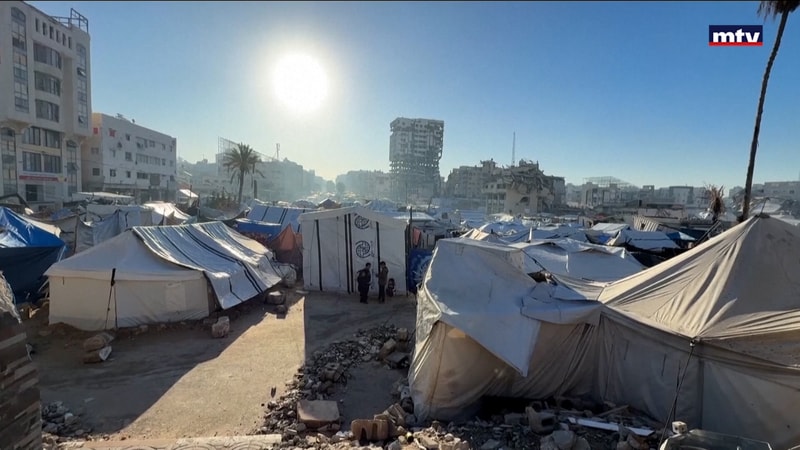 النشرة الكاملة