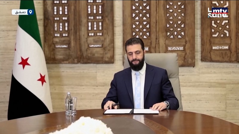 النشرة الكاملة