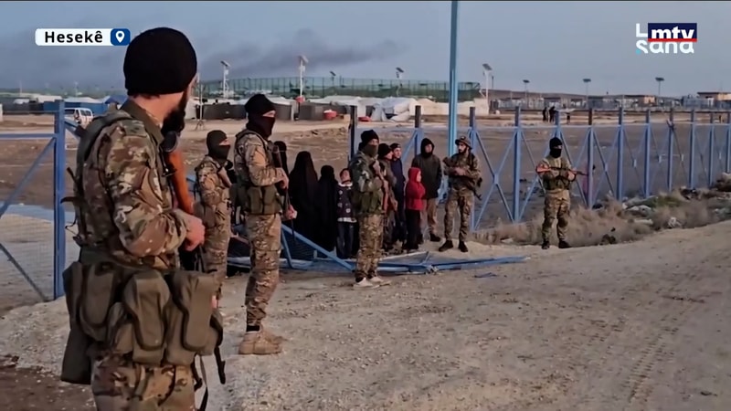 النشرة الكاملة