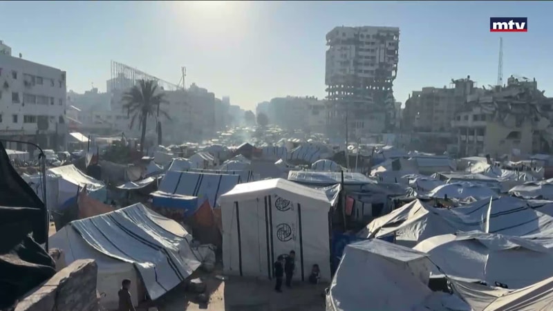 النشرة الكاملة