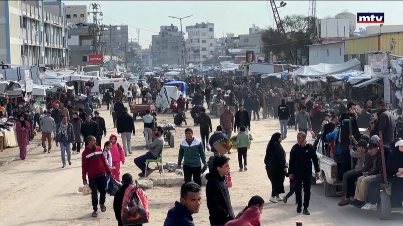 النشرة الكاملة