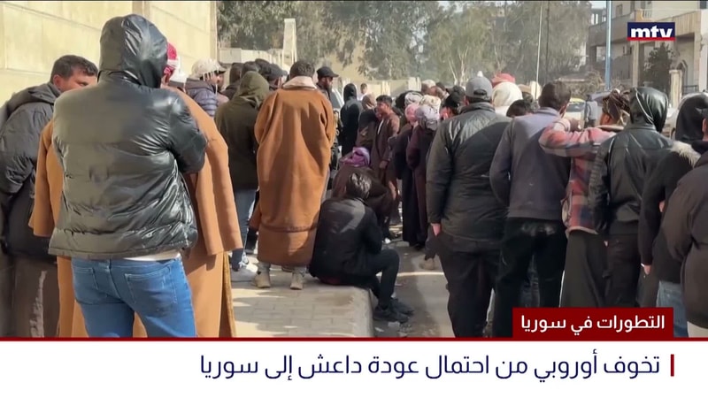 النشرة الكاملة