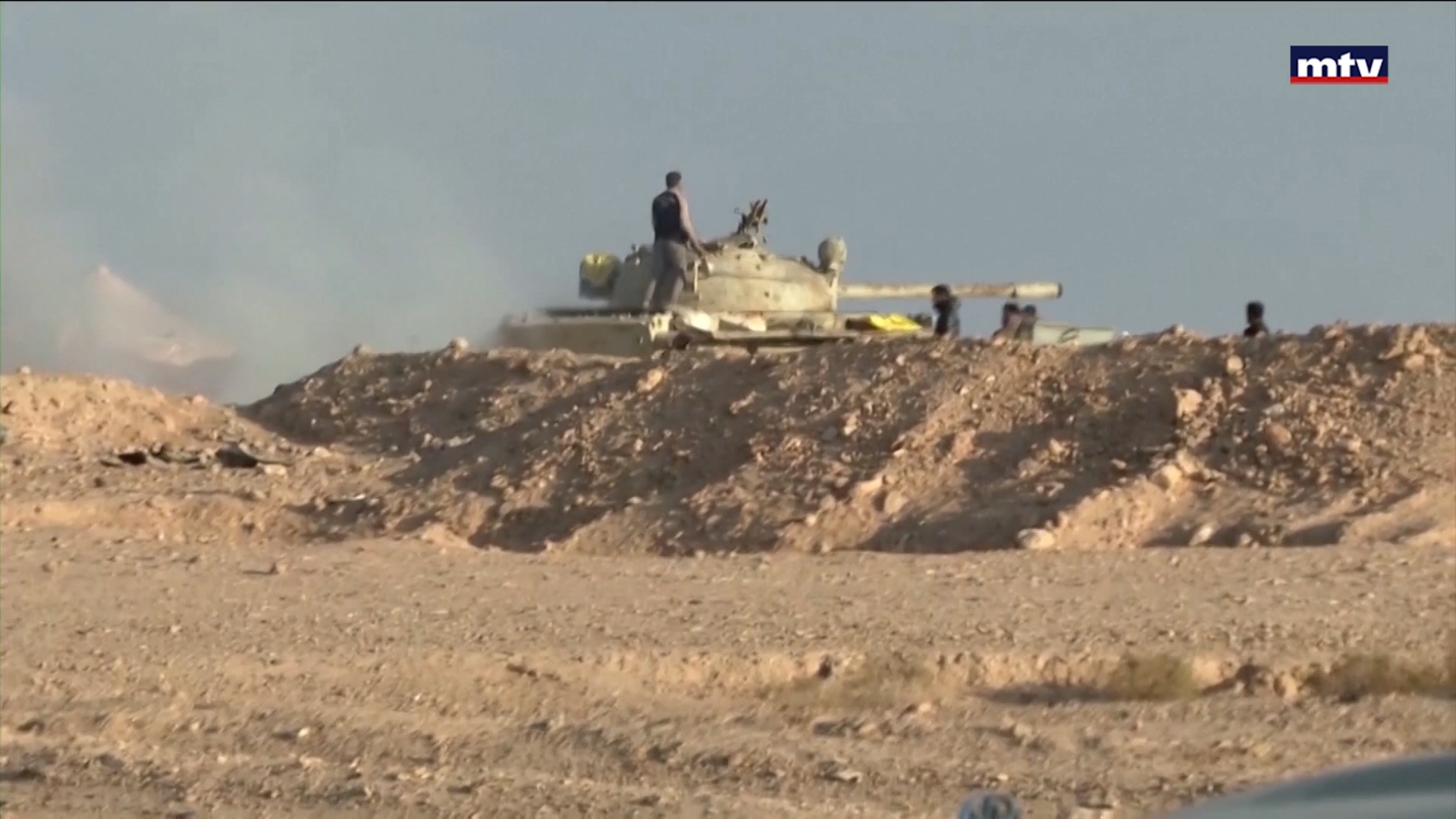 نخيل التمر العراقي