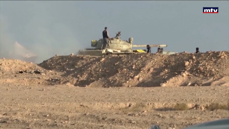 النشرة الكاملة