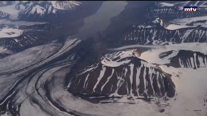 النشرة الكاملة