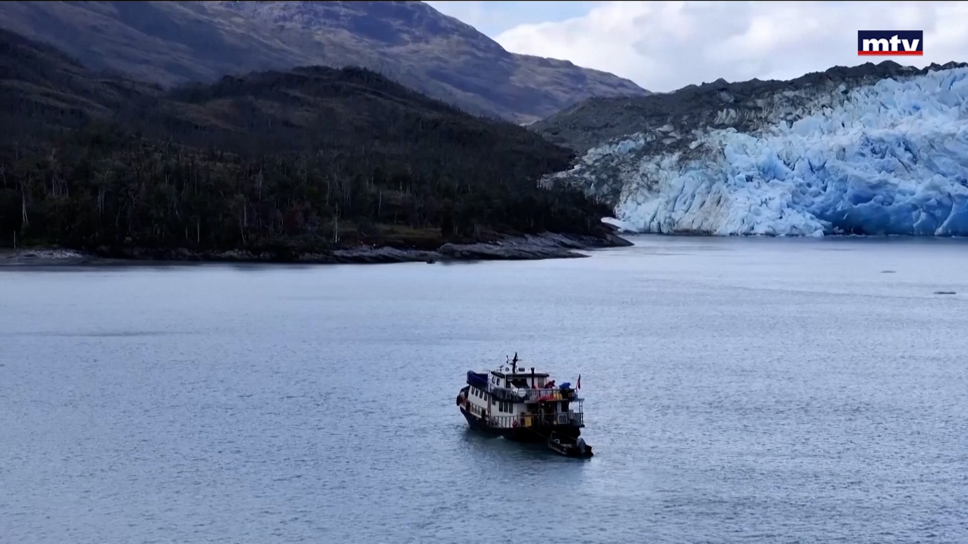 مرحلة الدومينو البيئي