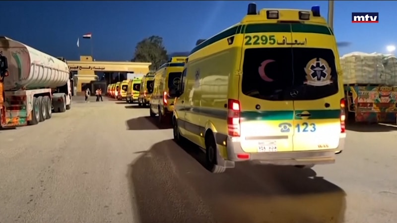 النشرة الكاملة