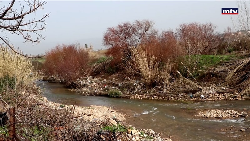 النشرة الكاملة