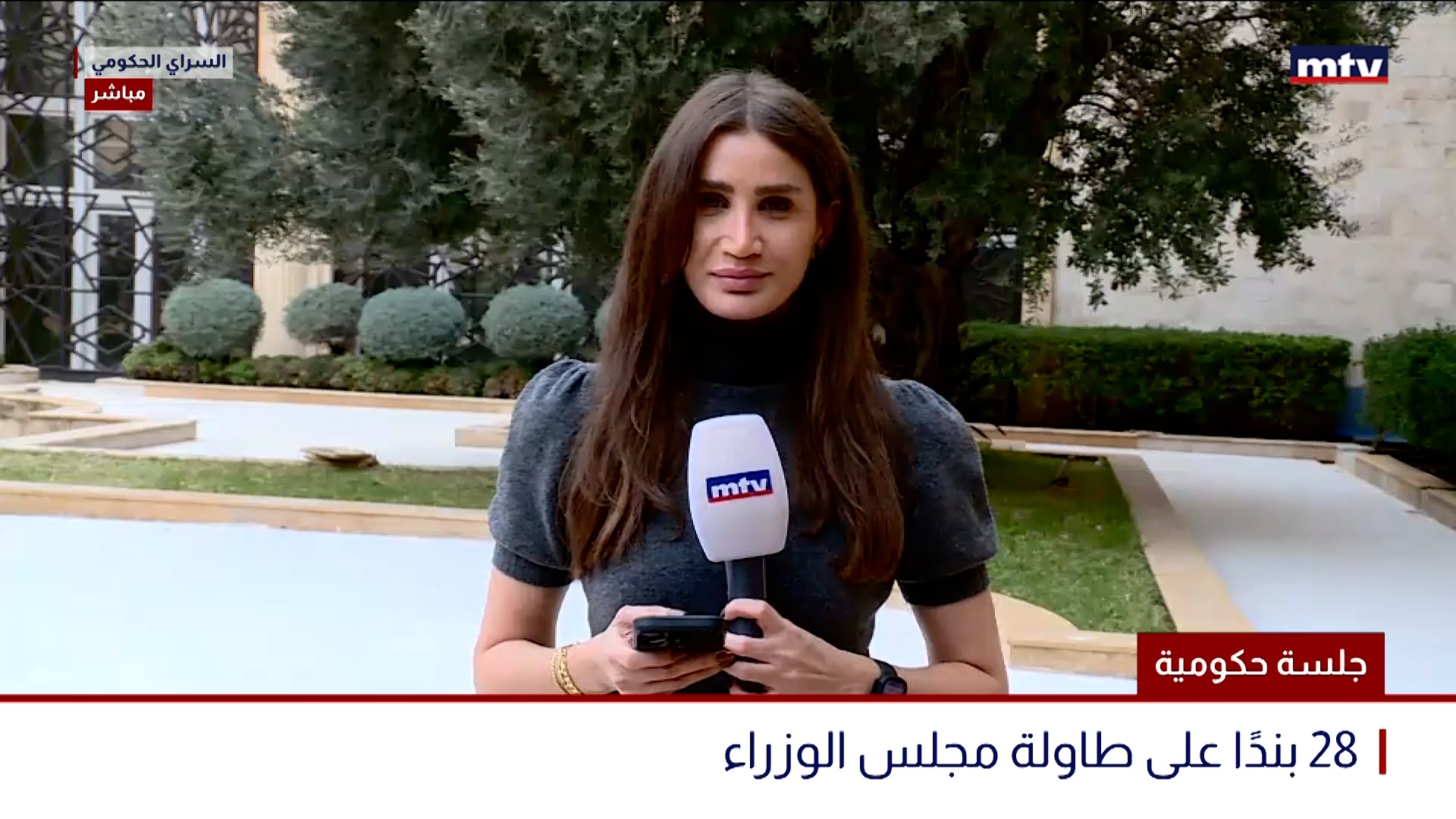 جلسة حكومية