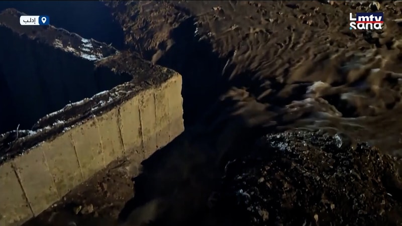 النشرة الكاملة