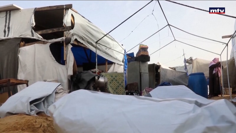 النشرة الكاملة