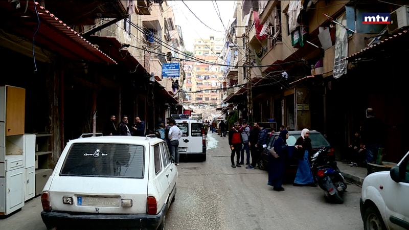 النشرة الكاملة