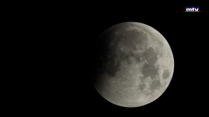 النشرة الكاملة