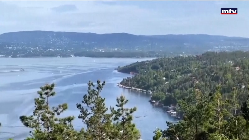 النشرة الكاملة