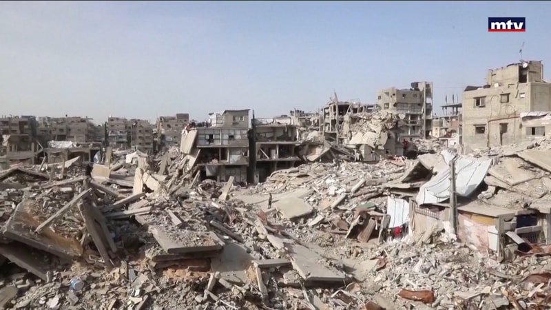 النشرة الكاملة