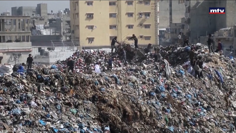 النشرة الكاملة