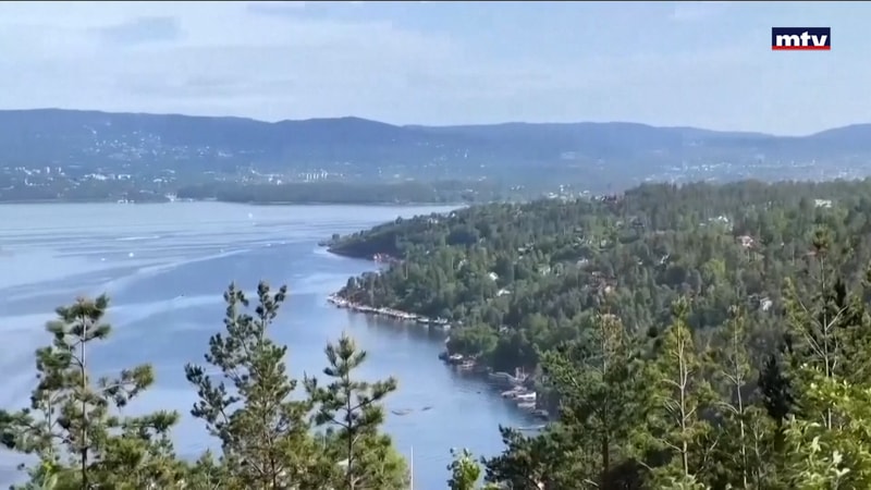 النشرة الكاملة