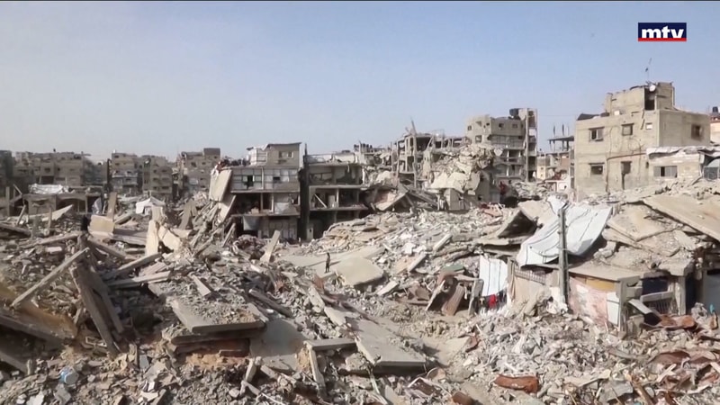 النشرة الكاملة