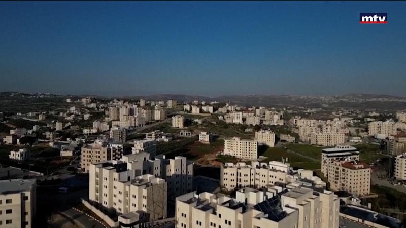 النشرة الكاملة