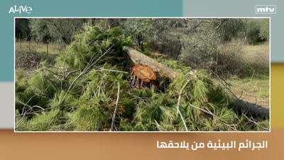 Who prosecutes environmental crimes