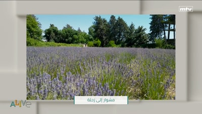 A trip to Zahle