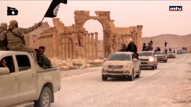 النشرة الكاملة