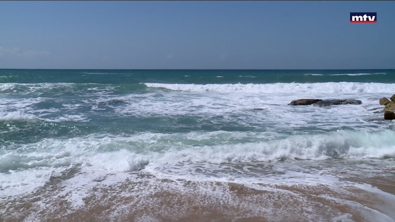 النشرة الكاملة