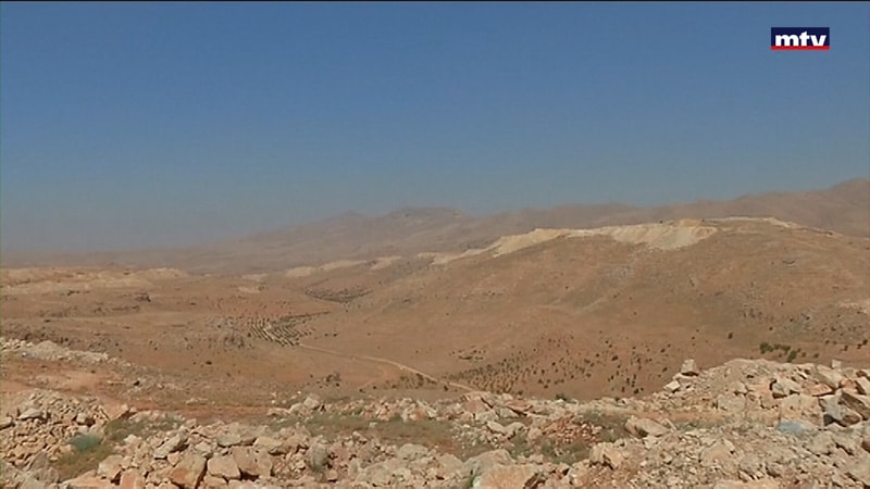 النشرة الكاملة