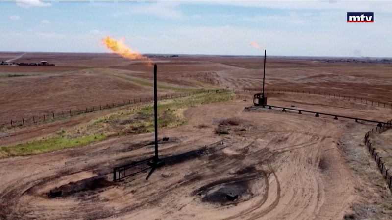 النشرة الكاملة