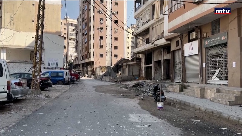 النشرة الكاملة