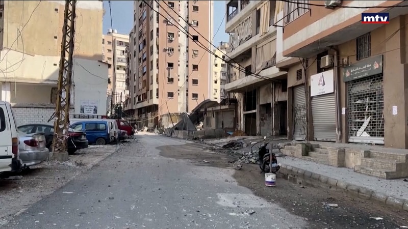 النشرة الكاملة