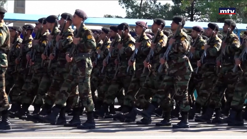 النشرة الكاملة