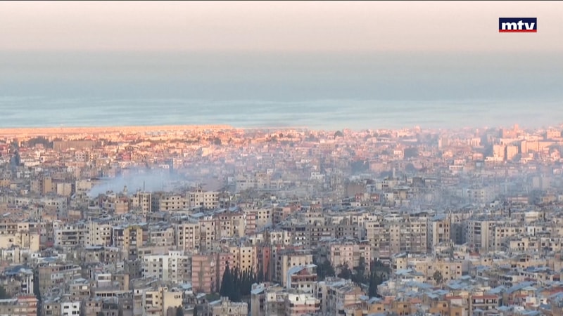 النشرة الكاملة