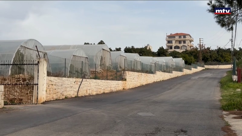 النشرة الكاملة