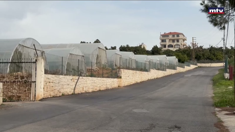 النشرة الكاملة