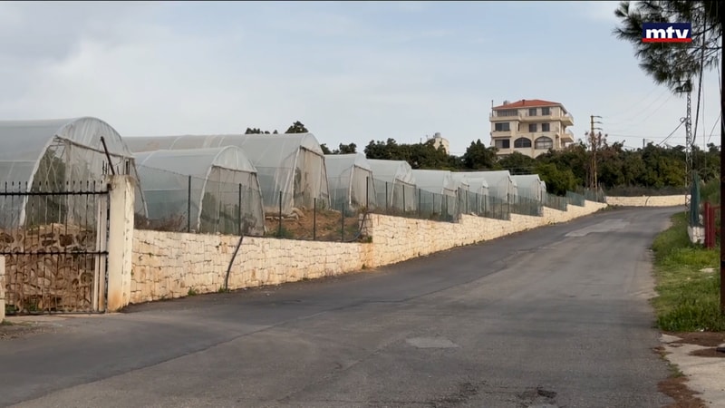 النشرة الكاملة