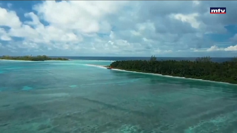 النشرة الكاملة