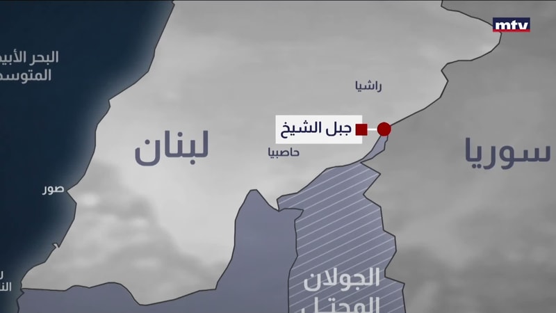 النشرة الكاملة