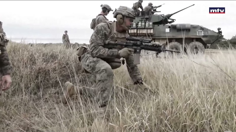 النشرة الكاملة